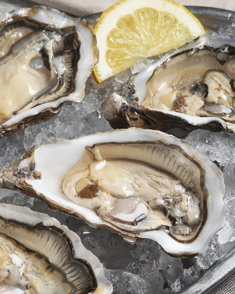 bodegon ostras listas comer