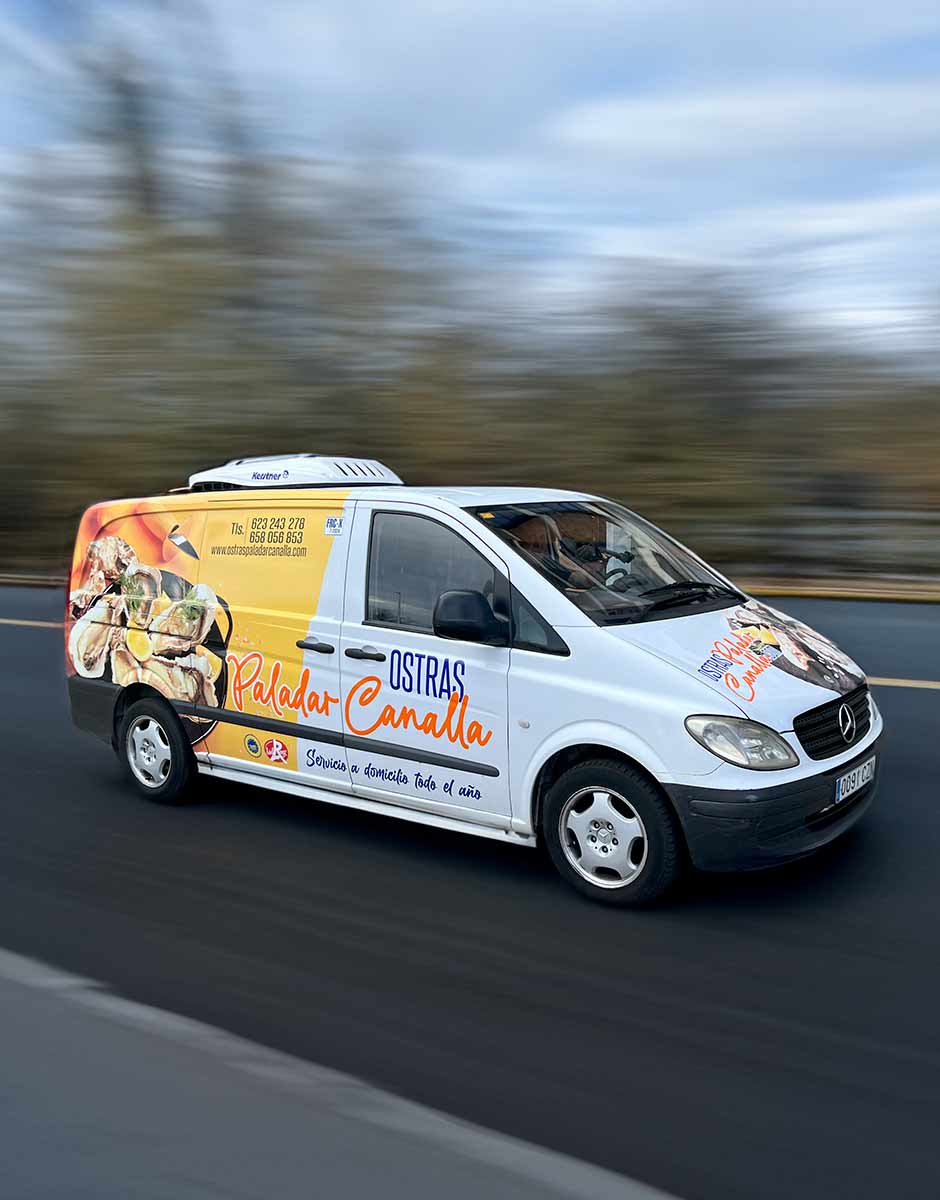 bodegon ostras listas comer